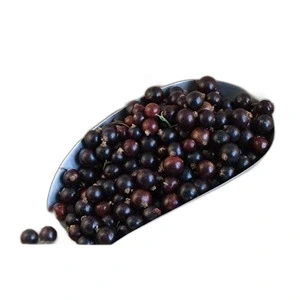 BLACKCURRANTS