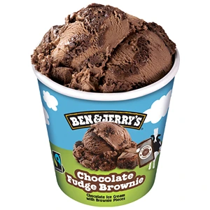 BEN AND JERRY'S CHOCOLATE BROWNIE ICE CREAM