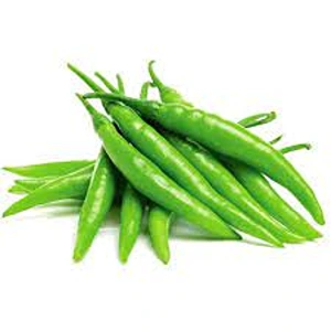 FRESH GREEN CHILLIES