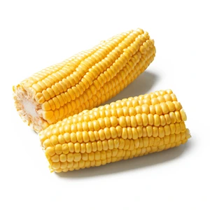 CORN ON THE COB-397G