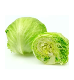 FRESH ICEBERG LETTUCE X 10