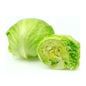 FRESH ICEBERG LETTUCE