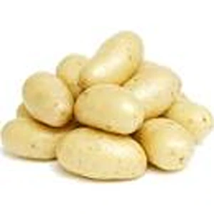 FRESH WHITE POTATOES