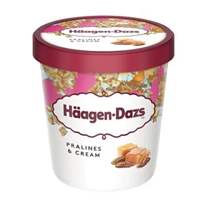 HAAGEN DAZS PRALINES AND CREAM