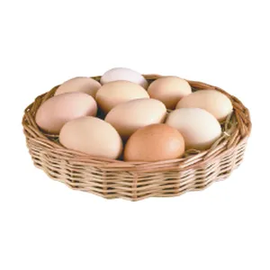 KEY TRAY LARGE BROWN EGGS