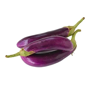 FRESH LONG AUBERGINE