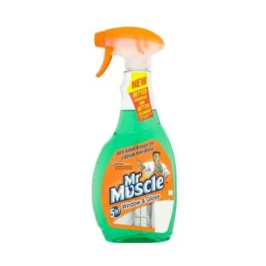 MR MUSCLE WINDOW CLEANER