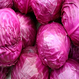 FRESH RED CABBAGE