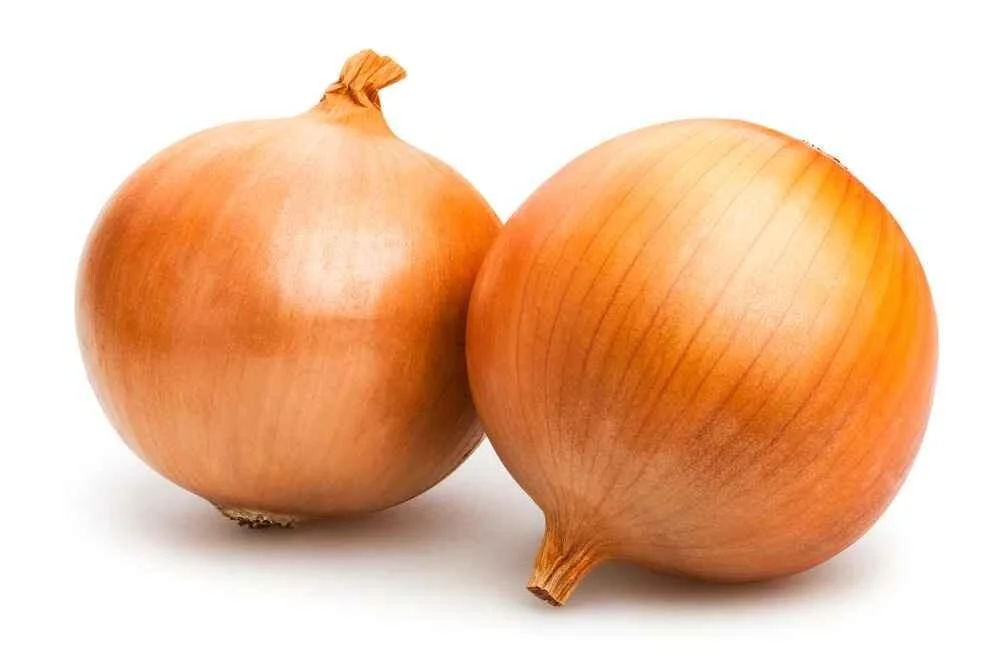 FRESH SPANISH ONIONS