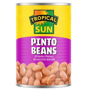 TS PINTO BEANS