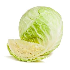 FRESH WHITE CABBAGE