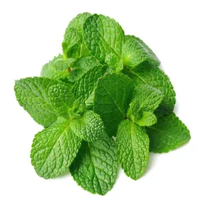 FRESH MINT