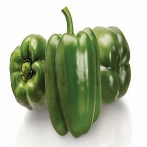 FRESH GREEN PEPPERS