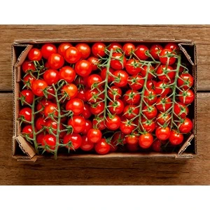 CHERRY TOMATOES 5kg