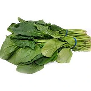 FRESH SPINACH